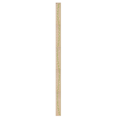 Messlatte 'Family Growth Chart' aus Holz