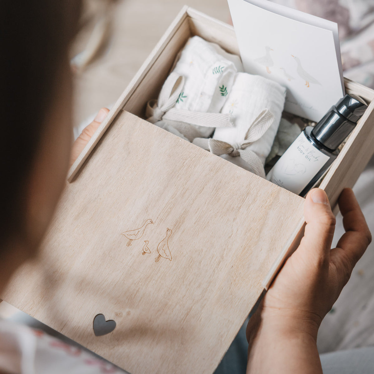 Erinnerungsbox 'Gänse'